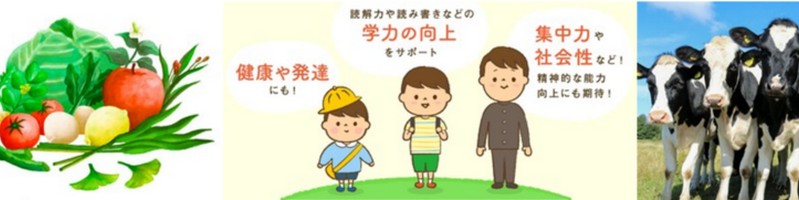 ��������������,DHA�AEPA���J���V�E���z��,�q�������`�y�O���[���~���N�z���T�C�g